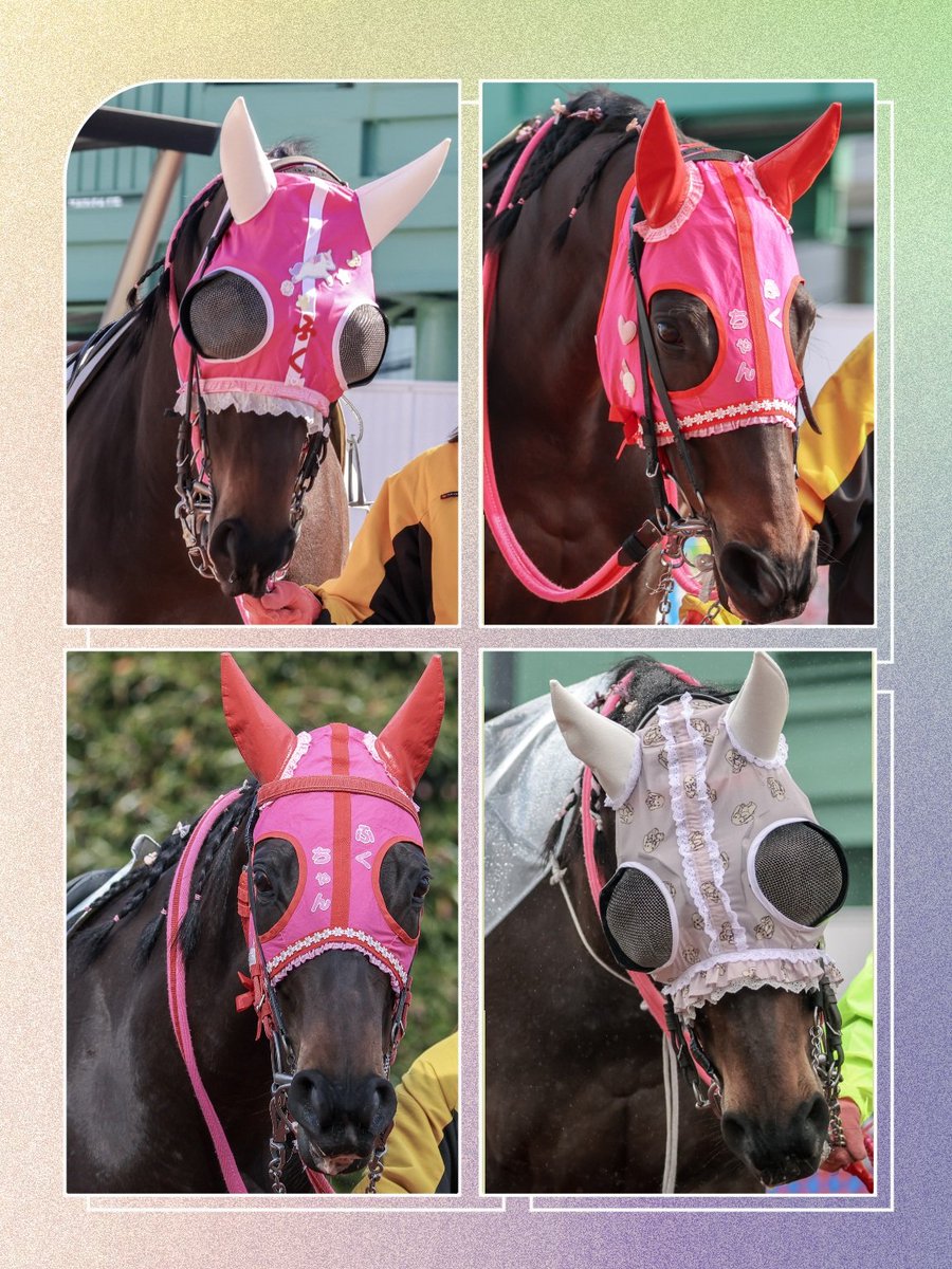 ちゃぼ tweet media