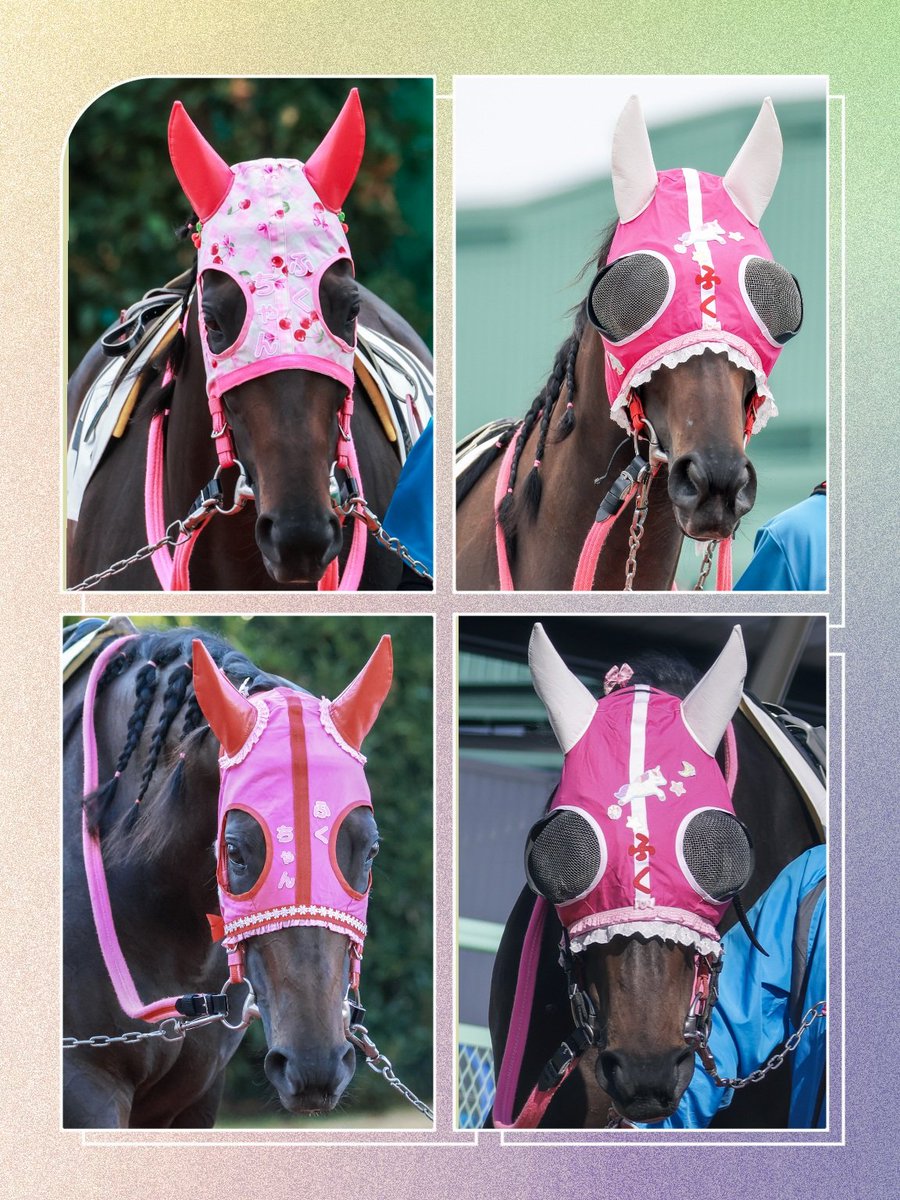 ちゃぼ tweet media