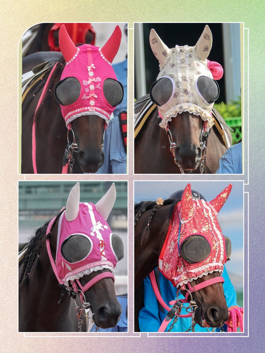 ちゃぼ tweet media