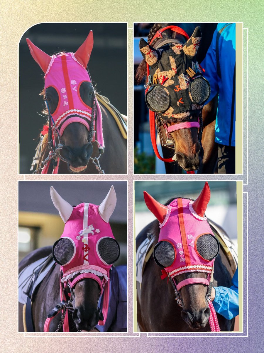 ちゃぼ tweet media