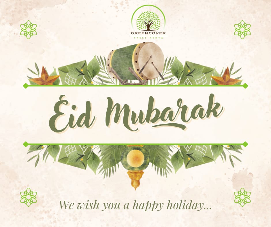 Greencover Trees Kenya tweet media