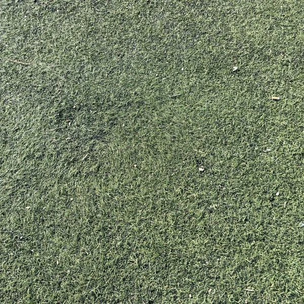 El Oval Andaluz tweet media