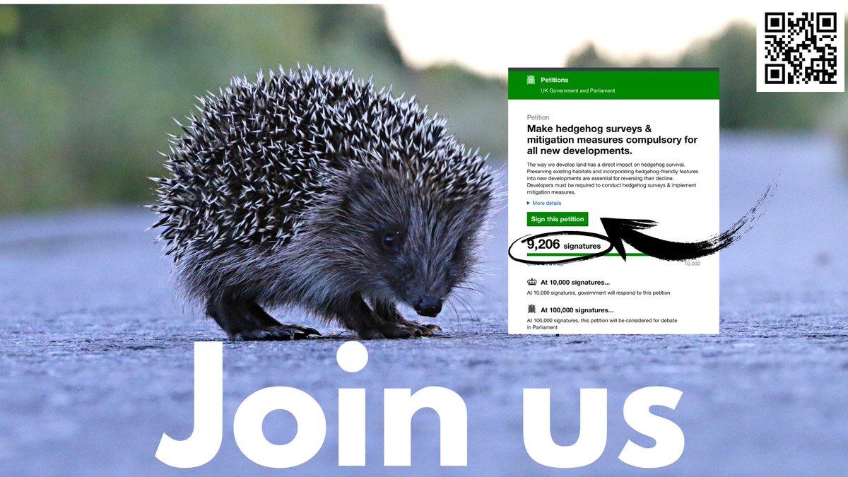 Less than 800 signatures needed for a government response to my #Hedgehog petition Let’s do this ! 👉🏻🦔petition.parliament.uk/petitions/6580…