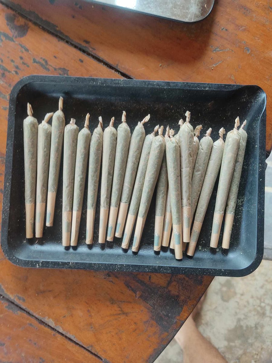 viewkim's tweet image. พันลำ king size งานปลูกเองตัวล่ะ 30 โครตเมา ส่งฟรีทั่วไทยขั้นต่ำ 200 ติดต่อที่ line viewson5x
#กัญชาราคาถูก
#กัญชาออแกนิค #กัญชากรุงเทพ #กัญชารังสิต #กัญชา #กัญชาเสรี #กัญชาลำปาง #สงครามสมรสep8 #เต็มสิบหักหมด #ดิจิทัลวอลเล็ต #JokerFolieADeux #สงครามสมรสEp7 #PHUTATCHAI