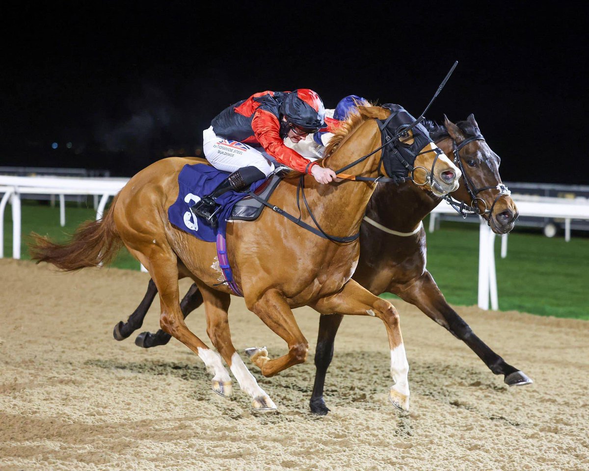 We now have 10% available in Havana Party. This 6 time turf and All Weather winner is now rated 79 after 2 wins from 2 at Newcastle this year and has schooled brilliantly over hurdles. Trained by @jardineracing