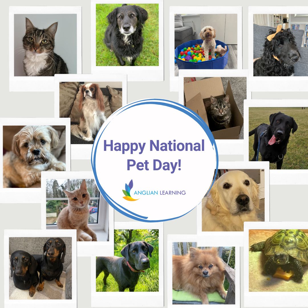 Happy National Pet Day! 🐾 To celebrate the day, we asked members of our Central Team to send us their best snap of their beloved companions. 🩷 #nationalpetday #pets #petsafety