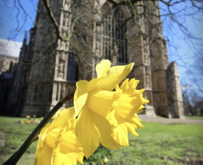 The sun is shining in Beverley and it is DAY 1 of the festival! Our musicians and team have been working flat out to get everything ready and we can’t wait to share our music with everyone. Come and join us! TODAY: Opening concert: La Trompette 8pm, St Mary's Church Beverley