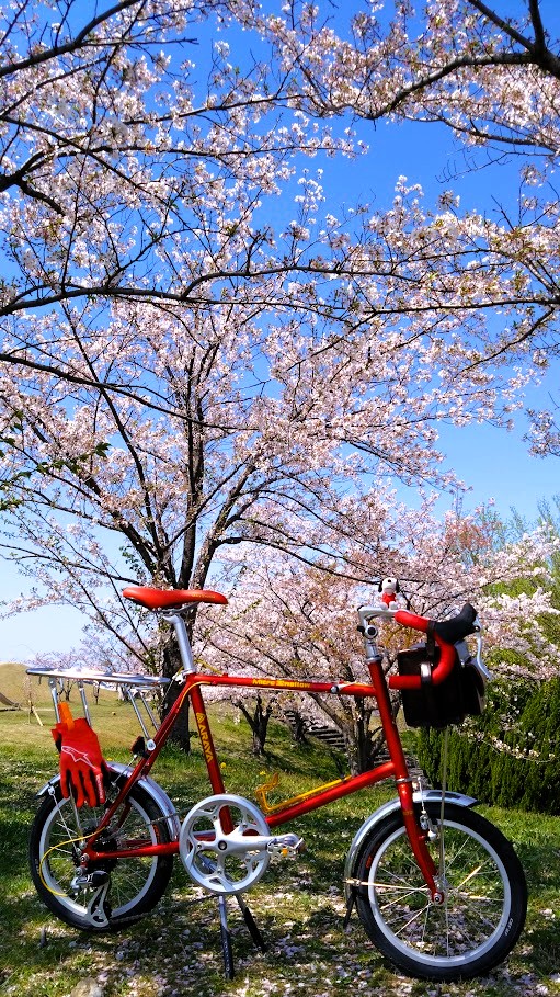 HqkoetSn1FoHptA's tweet photo. さくら🌸ギリ間に合った🚲
#マイクロスワロー #MicroSwallow
#MINOURA #カメラバック https://t.co/f89fYHyeYd
