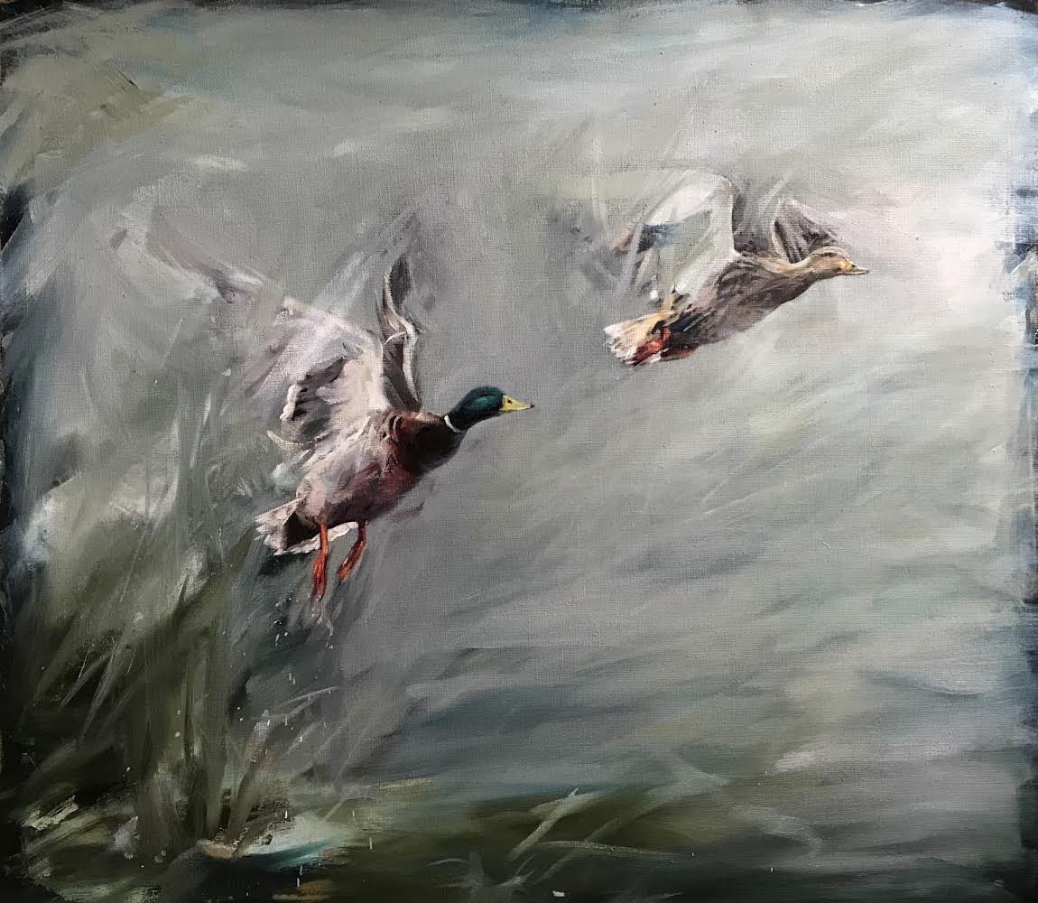This week’s #WildlifeWednesday comes in the form of a painting. This stunning pair of mallards by @lauraandrew is one of many works of #art on display in our Gallery. ‘Reflections’ is an exhibition by Lincolnshire Artists' Society. Open daily until 14 Apr, 10am-4pm, free entry.