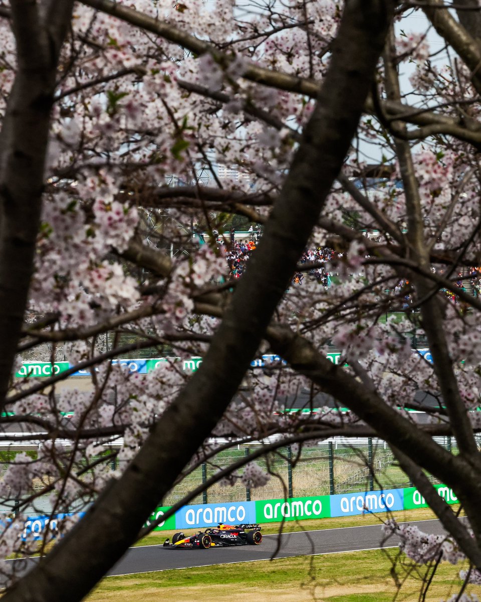 🌸 Cherry blossom season + F1 = 🥰 #JapaneseGP