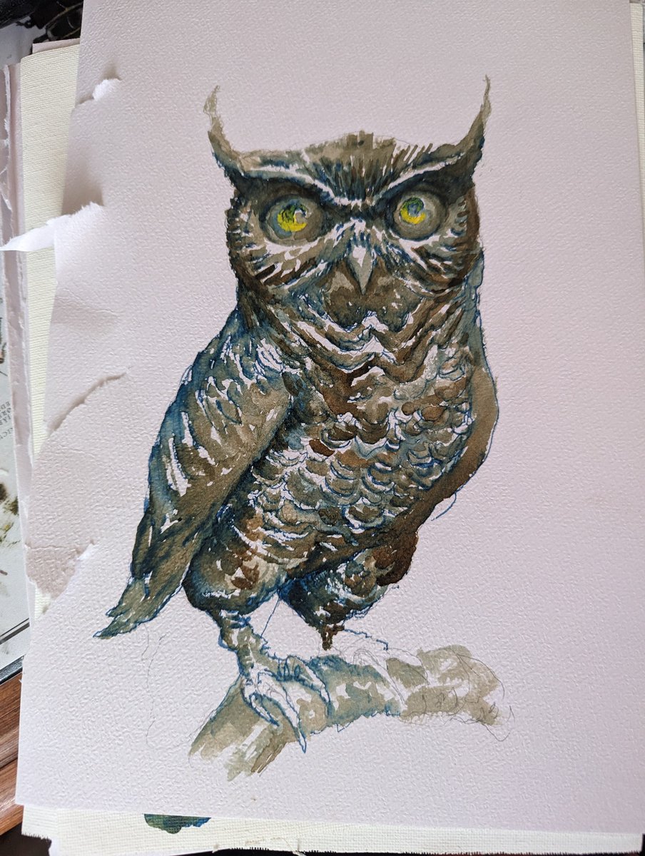 Traditional owl #2d #drawing #design #owl #painting #illustration