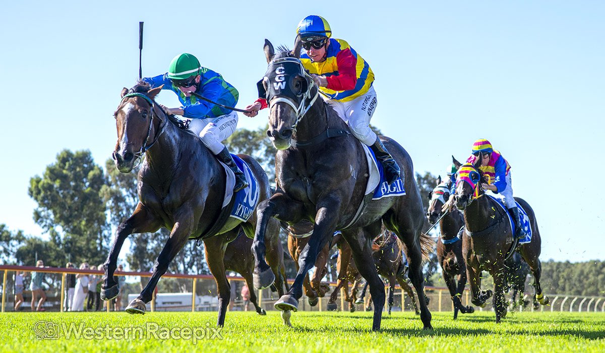 Western Racepix tweet media