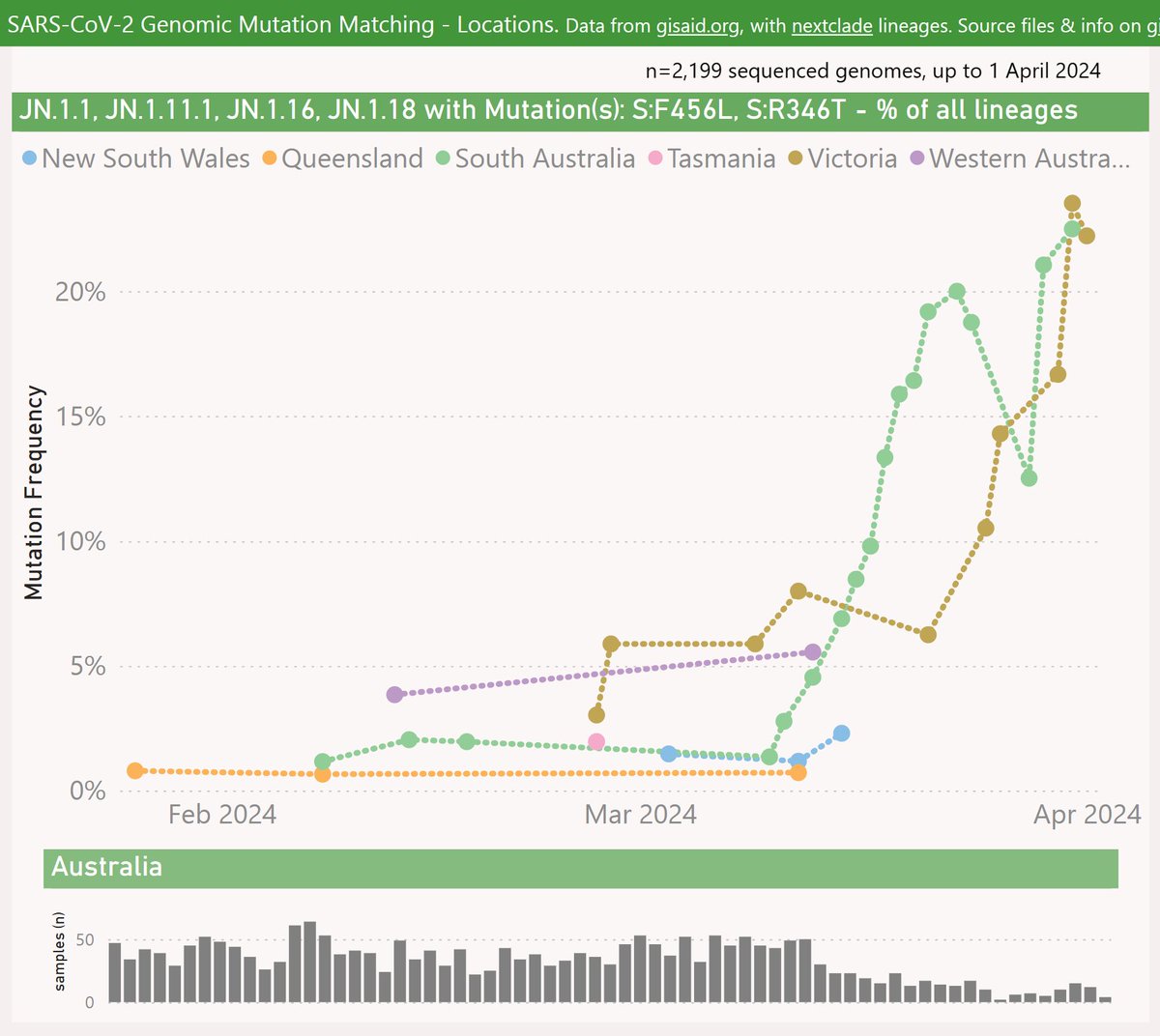 After a long lag, sample data was shared for Victoria (Australia). It has revealed that JN.1.* + 'FLiRT' lineages have been growing strongly there, paralleling the growth reported earlier in South Australia. Very recent data from both states shows the frequency up to 22% 🧵