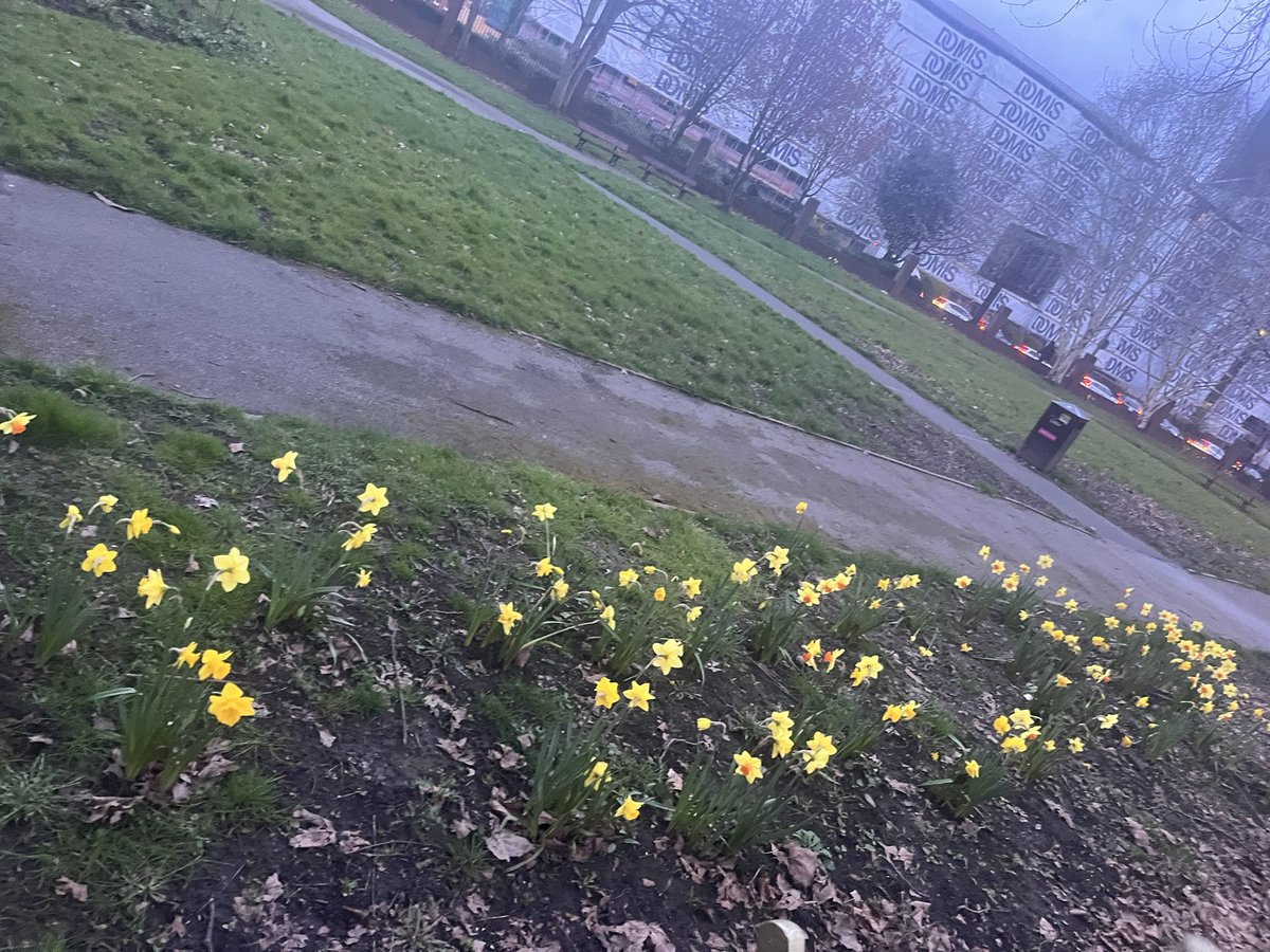 Its lovely to see the flowers blooming 🌼 Just a reminder this Sunday 11th April we will be having a gardening session at 12noon at St Stephen’s Gardens and on Wednesday 24th April at 5pm we will be holding a litter pick. Everyone is welcome and all equipment will be provided♻️