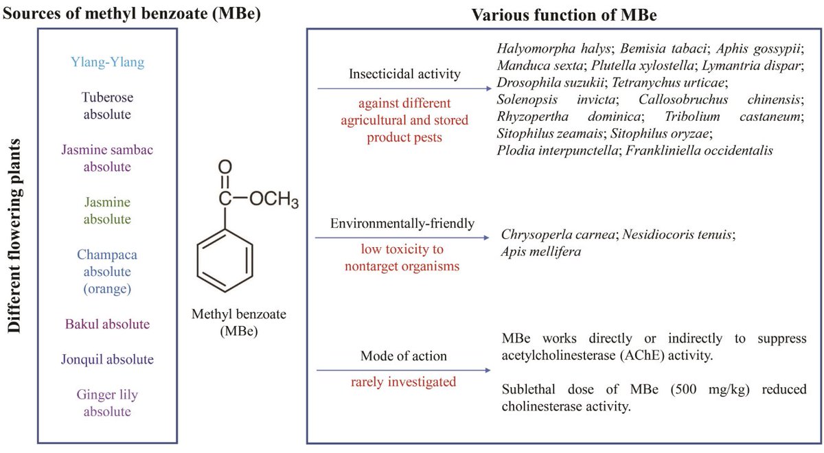 AgricultureMdpi's tweet image. #AgricultureMdpi – Editor's Choice Article

📜 Methyl Benzoate as a Promising, Environmentally Safe #Insecticide: Current Status and Future Perspectives
by Md. Munir Mostafiz et al.

🖱️ Learn more:
doi.org/10.3390/agricu…