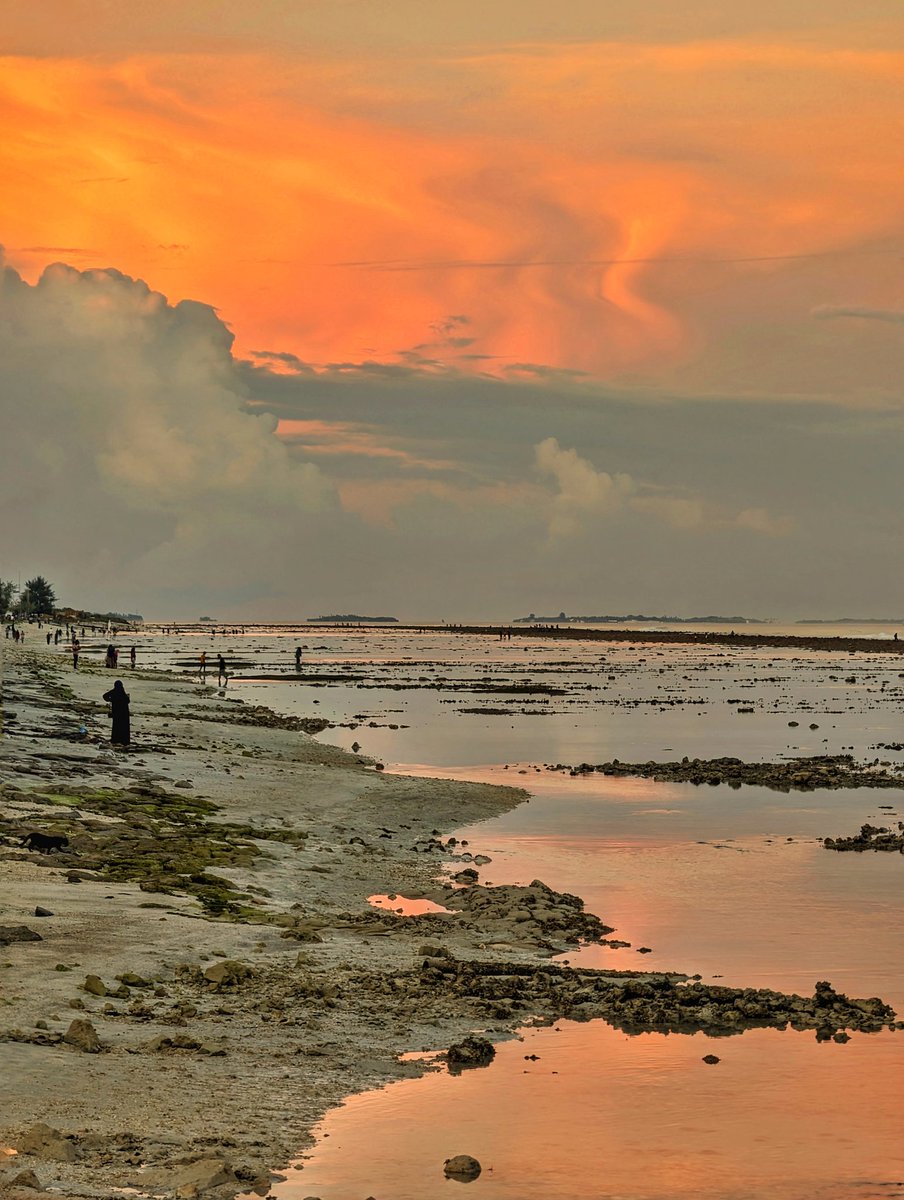 Low Tide Sunset

#Maldives #visitMaldives #sunset #sunrise #goldenhour #island #photography #travel #Google #TeamPixel #Pixel8Pro