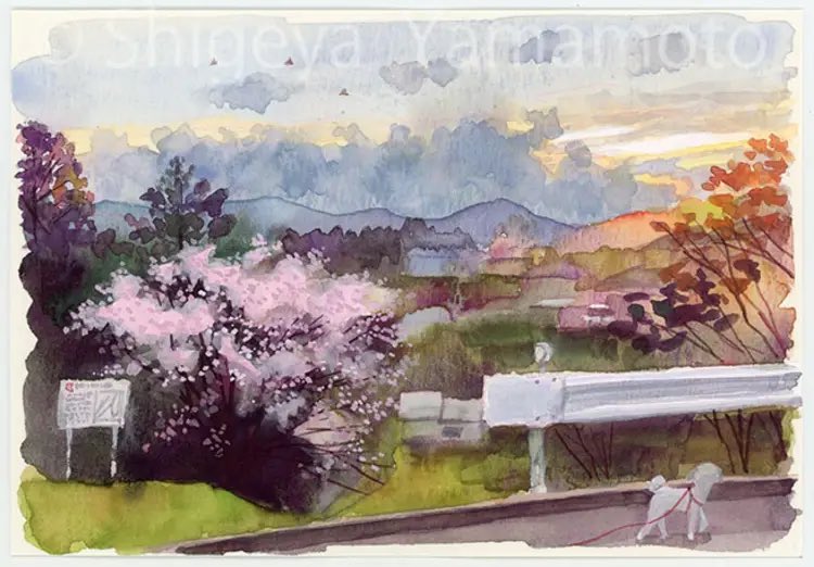 気仙沼に来て初めての桜の季節。花が咲いてあっ！この木は桜だったのか！と気付くことがありますよね。南が丘の貝塚跡地に咲く桜もそんな１本です。この木はボクの気仙沼での大切な桜となる気がしています。
#気仙沼 
#水彩画 
#watercolour 
#透明水彩 
#illustration 
#イラストレーション