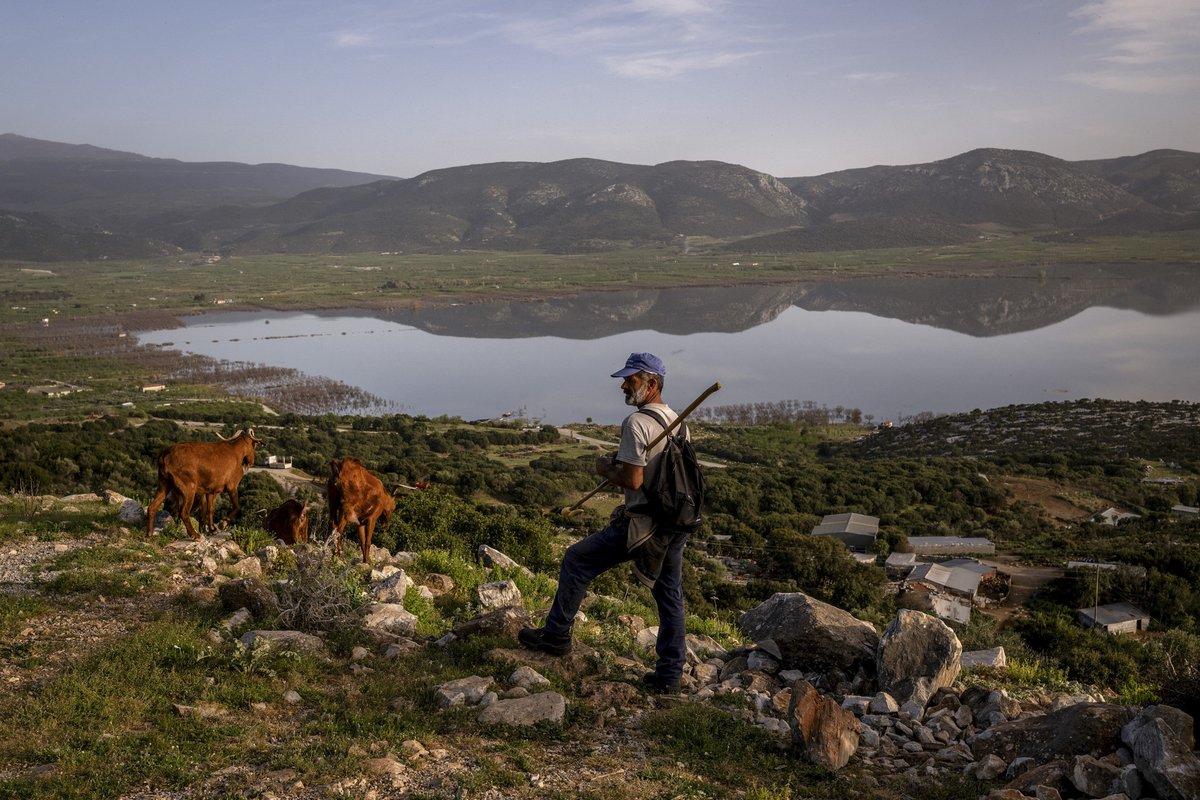 Over sixty years ago Greece’s Lake Karla was drained to create farmland and prevent malaria. But the lake returned after devastating storms in 2023 and is now three times its original size. bbc.in/4atakbM