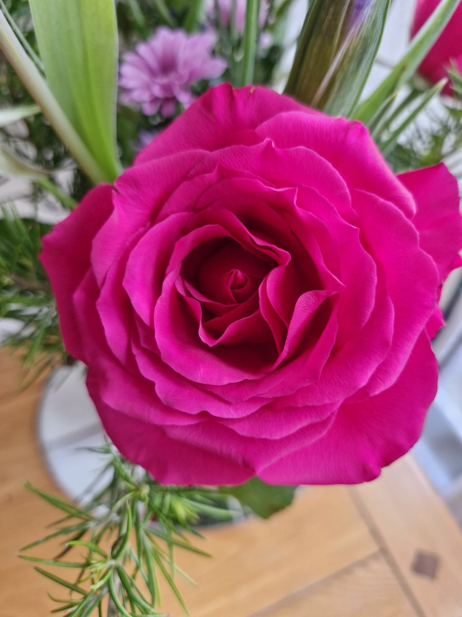 Happiness shared is 
 #RoseWednesday 
#Wednesdayvibe 
#Whatsinyourvase
#grateful #roses #FlowersOfTwitter 💐
