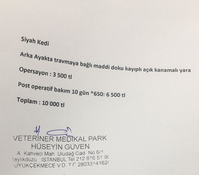 Sizlerden çok rica ediyorum destek olun🙏 Osman evden atılmış ve malesef köpeklerimiz saldırmış :( karnından ameliyat oldu sonra güvenli sitede arkadaşa verdik. Şimdi de patisini araba ezmiş:( kliniklere çok borcumuz var Lütfen kara kuzu'ya destek 🙏