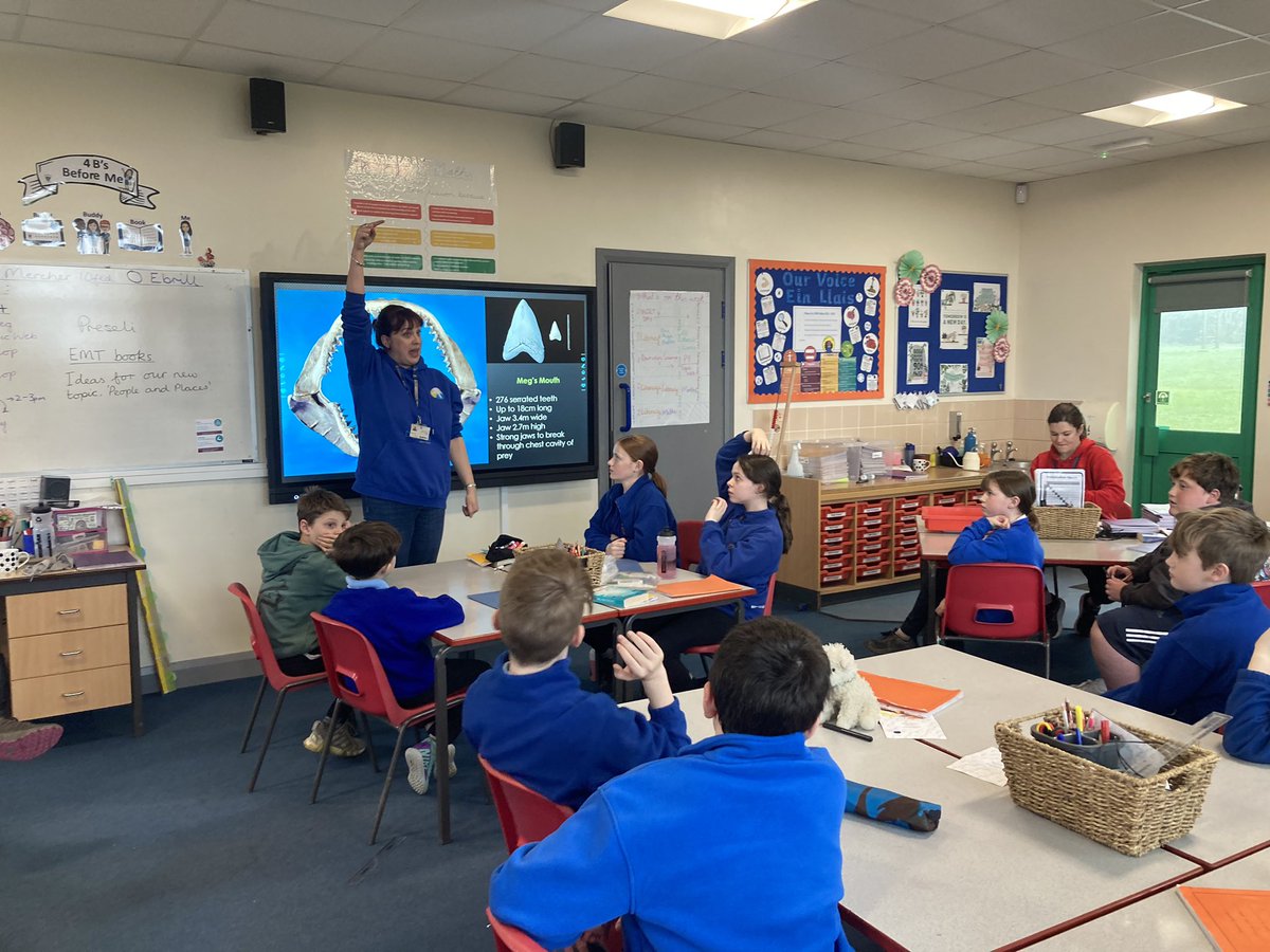 Shark workshop with @Tavernspitecp! Demo time - how many pupils would fit inside the mouth of a Megladon?! 2.7m high x 3.4 wide! The whole class of 25 fitted inside the space with room to spare! 🤩😲🦈 #STEMworkshop #sharks #megladon #Selachimorpha #sharkevolution #marinebiology