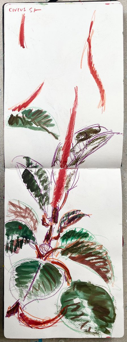 Phthaloturquois's tweet photo. #sketchbook #florida #watercolour #colouredpencil #moleskine #circusst #rubberfig https://t.co/0RIQo17Xah