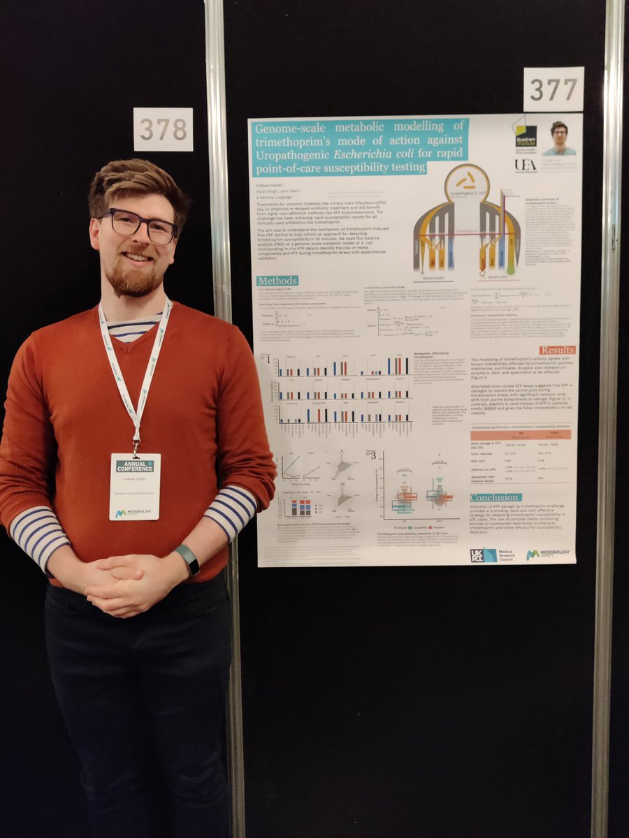 If you're at #Microbio24 🦠 & interested in #metabolicmodelling, #trimethoprim 💊 or rapid antibiotic susceptibility testing #AST, check out Cailean Carter's poster (377)! @TheQuadram @MicrobioSoc