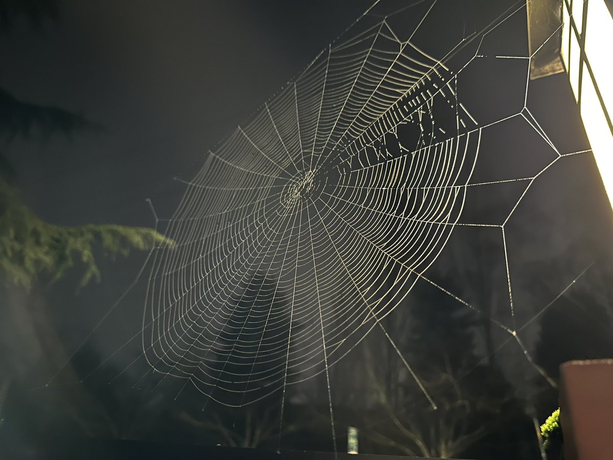The webs we weave