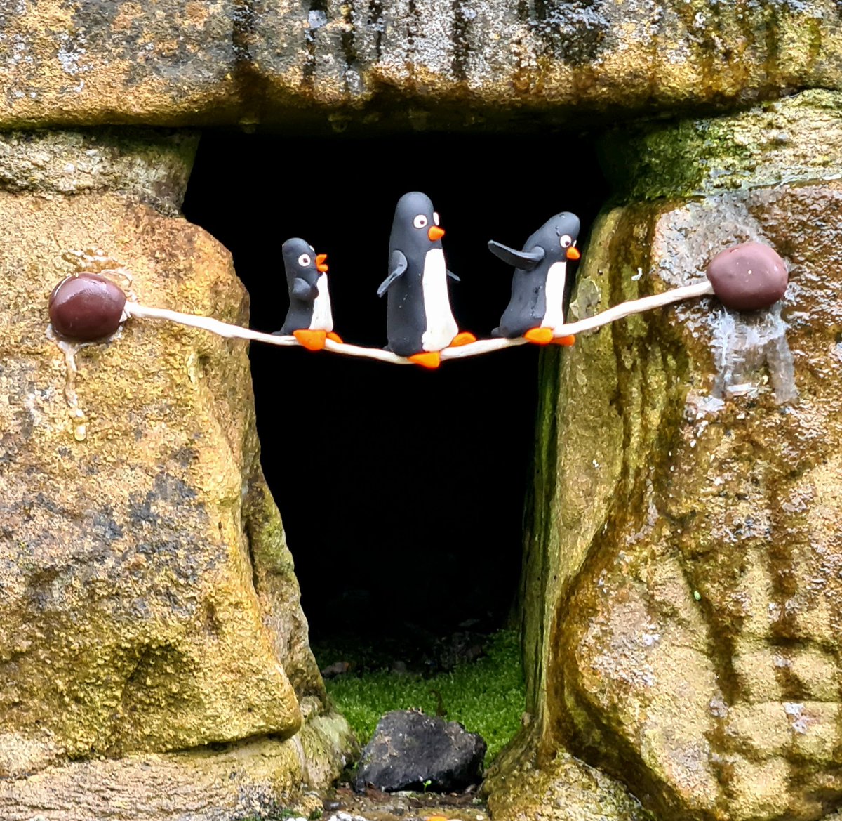 Not to be out-done by Mum, me, Dad and my Little Brother tried a bit of tightrope walking - it's a lot scarier than it looks!!! #glasgow #streetart #glasgowstreetart #penguin #tightropewalking #glasgowpenguins #kelvinwalkway #thepenguinsinthewall #circusskills