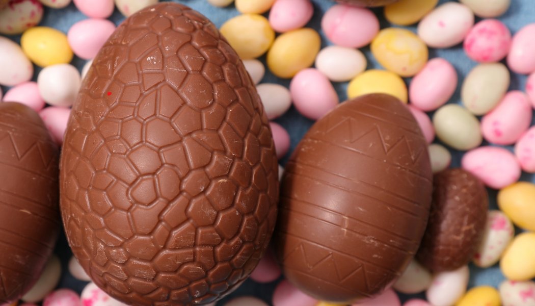 Deusto Campus Bilbao tweet media