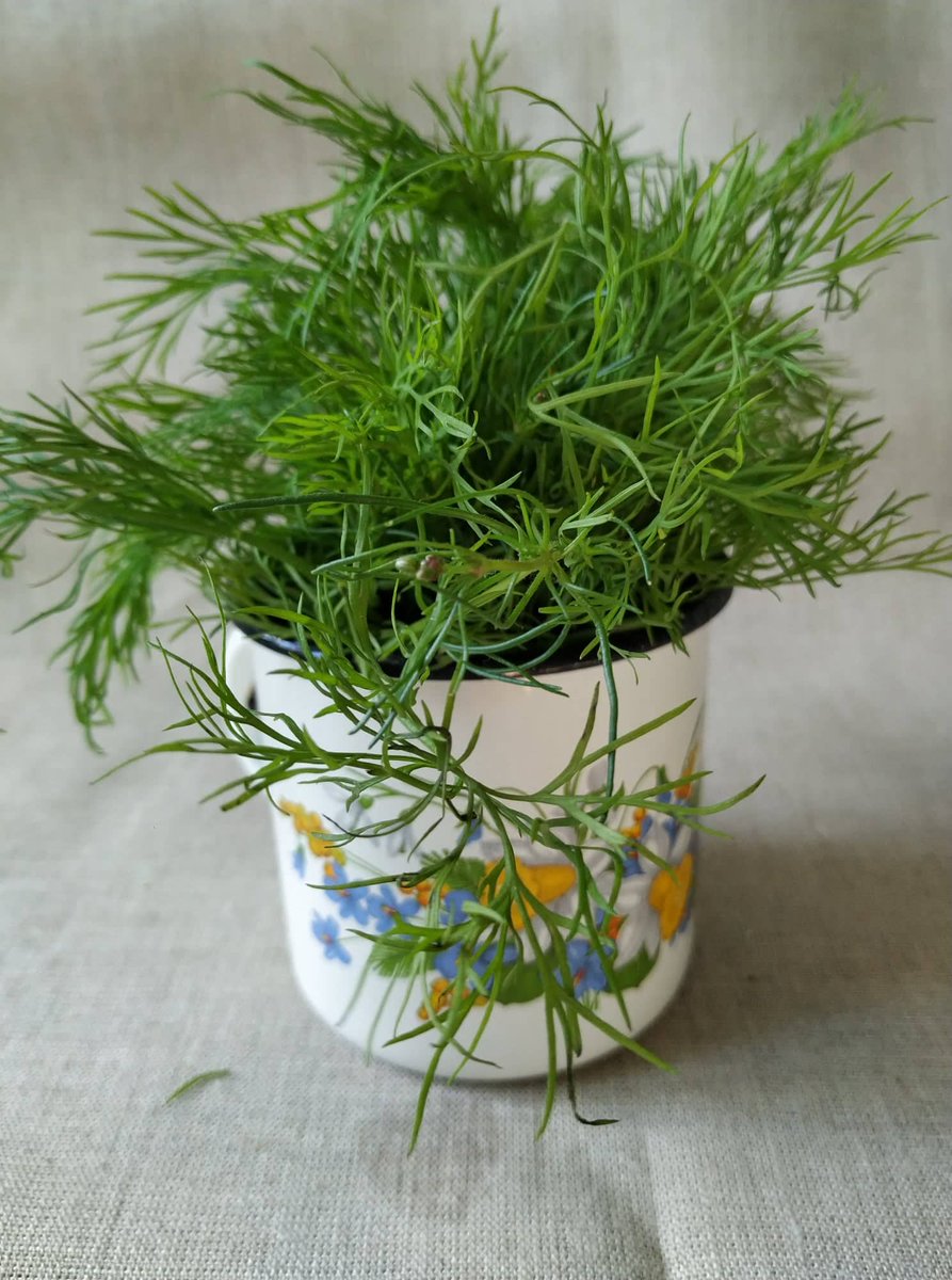 #Enamel #Cup #Vintage #Enamel #Mug with #flowers #Soviet #enamelware #Camping #Hiking #Countryside #USSR 

etsy.me/3FSW5iY