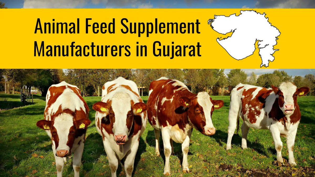 refitanimalcare.com/blog/animal-fe…

Animal Feed Supplement Manufacturers in Gujarat

#AnimalFeedSupplements #feedsupplements #refitanimalcare #refit #veterinarymedicine #gujaratbusiness