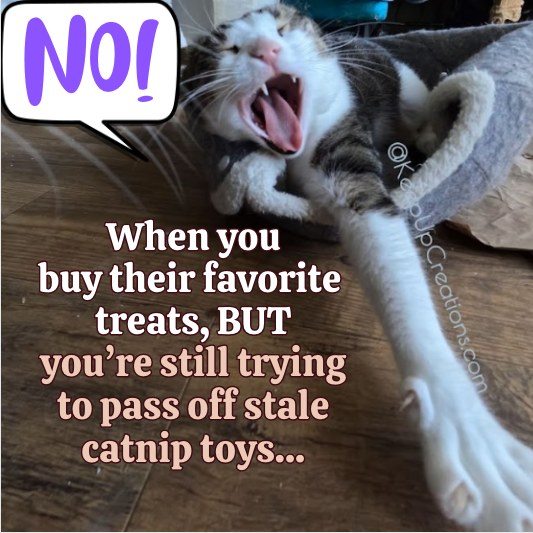 KpUpCreations's tweet image. Don&apos;t disappoint your cat any longer.  Keep Up Creations has unmatched organic catnip toys waiting to bring your cat&apos;s dreams to life.  Contact us today to change that &quot;NO!&quot; to a &quot;YES!!!&quot; #FavoriteTreats #CatnipToys #CatToys #Disappointment #DreamsToLife #ContactUs #WednesdayWins