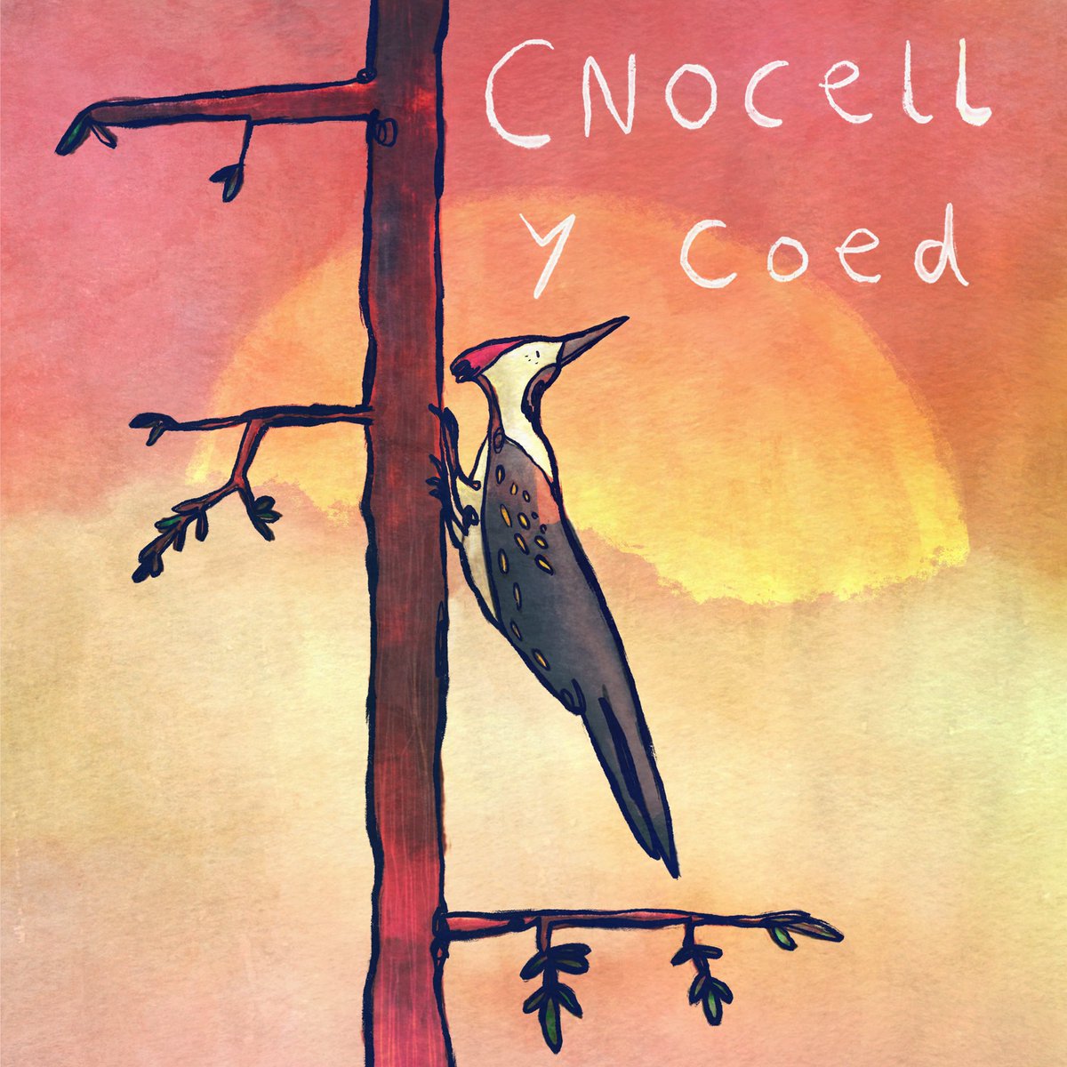 Cnocell y coed: knocker of the wood (woodpecker) Cnoc: a knock Coed: trees/ the wood/woods #dysgucymraeg #cymru