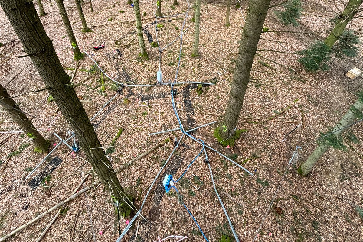 Veränderte #Wald-#Ökosysteme im Blick: Am 12.04.2024 zeigen Wissenschaftler*innen des Sonderforschungsbereichs #ECOSENSE Interessierten ihr Forschungsgebiet im Ettenheimer Wald & informieren über dort installierte Messvorrichtungen. ufr.link/ecosense-fuehr… @c_werner #unifreiburg