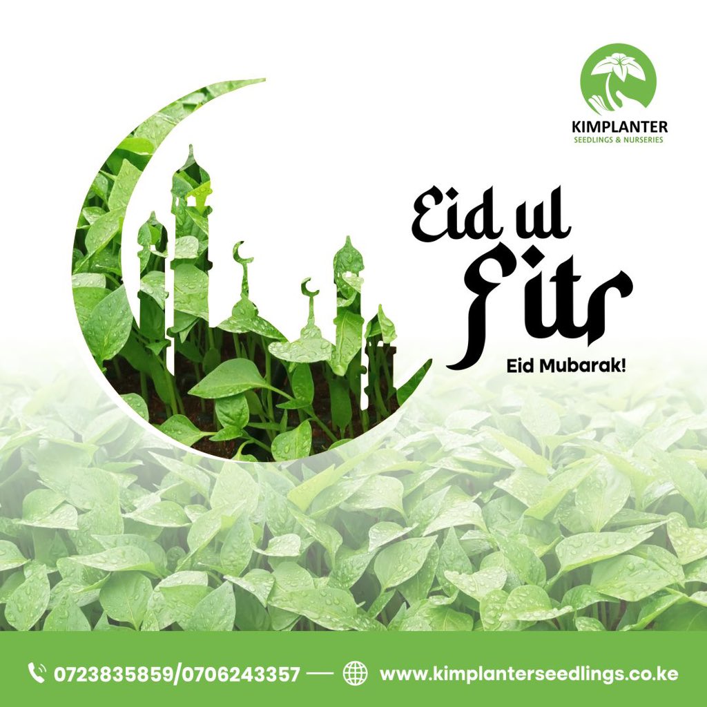 🌺 Eid-ul-Fitr is a time for gratitude, reflection, and celebration. Wishing you a blessed and joyful Eid with your loved ones. Eid Mubarak! 🌟