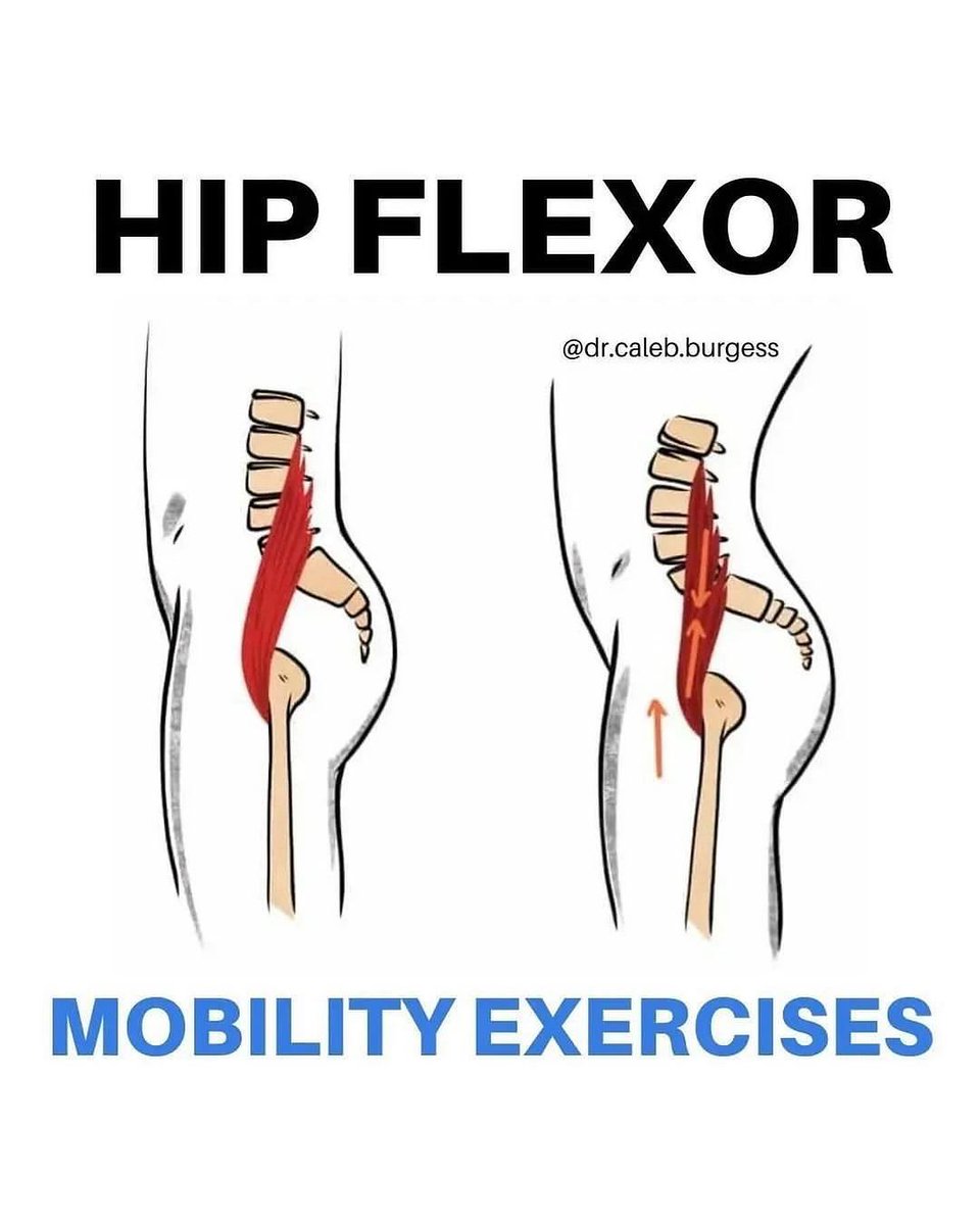 Hip Flexor Mobility Exercises...