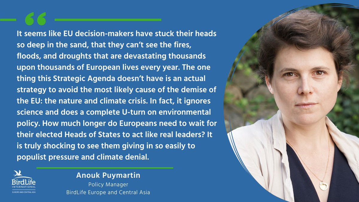 EU countries have no intention to tackle the nature and climate crises in the next five years. The leaked draft 'Strategic Agenda' by @CharlesMichel shows a major backtracking of the importance attached to the climate crisis, nature loss, and pollution - and the existential…