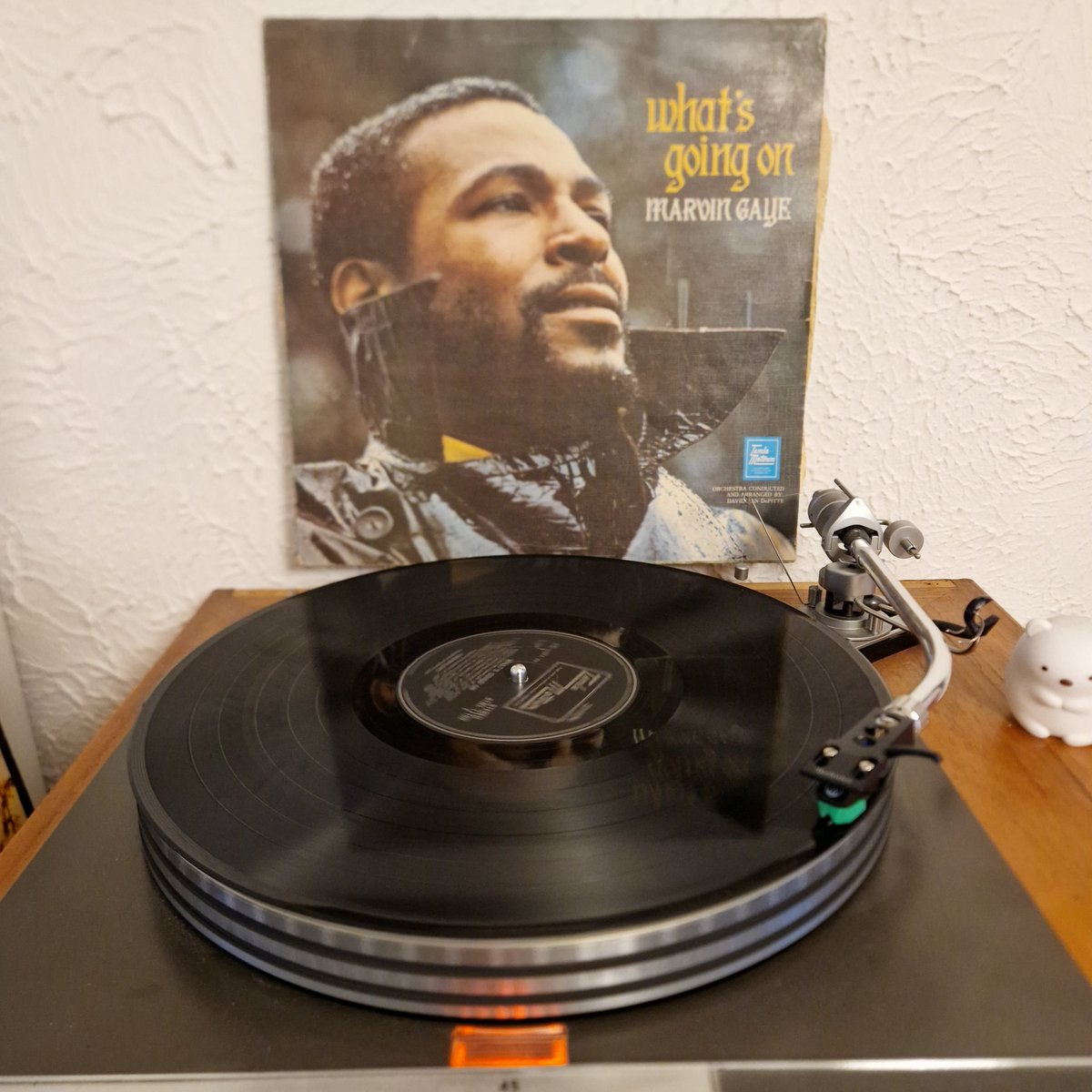 Brighter Day Record Shop tweet media