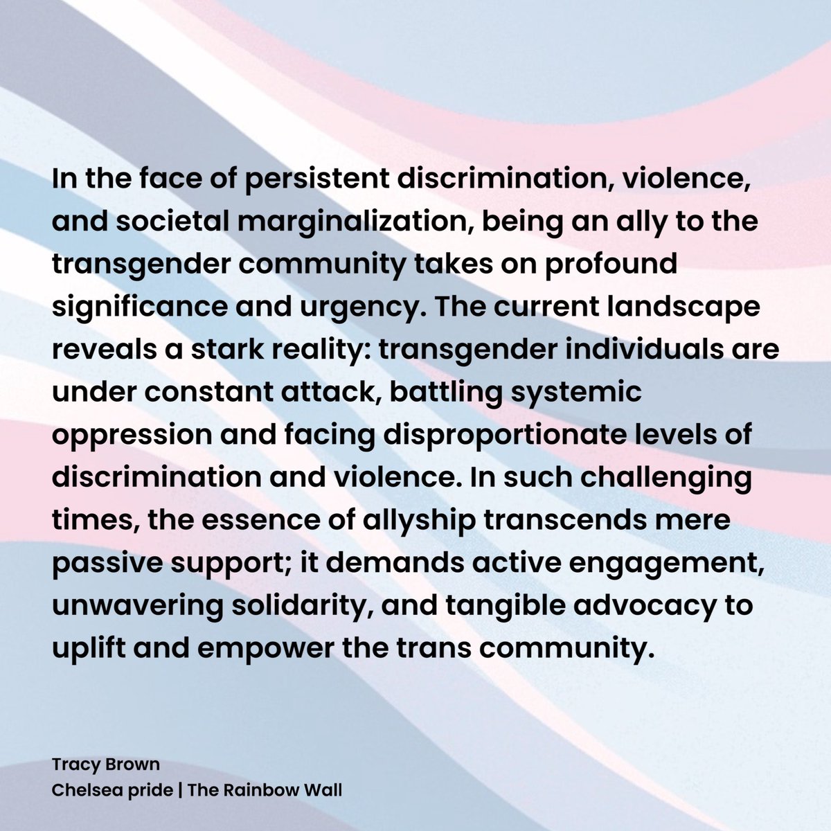 Allyship in Solidarity: Supporting the Trans Community Amid Ongoing Adversity.

#TransRightsAreHumanRights | #LGBTQ+ | #NoFootballWithoutTheT | #NoToHate | #FvT2024 

1/7