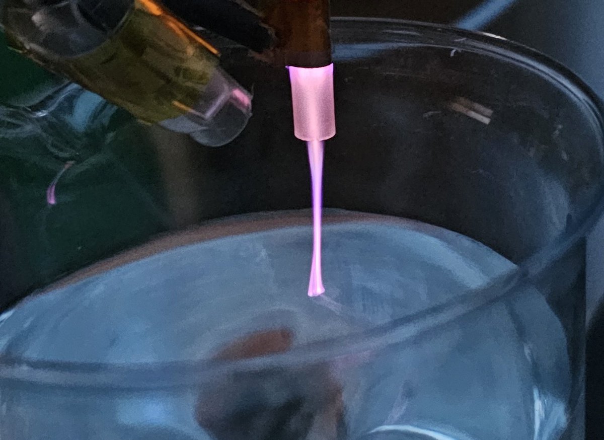 edureslab's tweet photo. Plasma bio-agro-engineering. #making_the_paw #touching_the_seeds #growing_plant https://t.co/iJXq3s0qqi