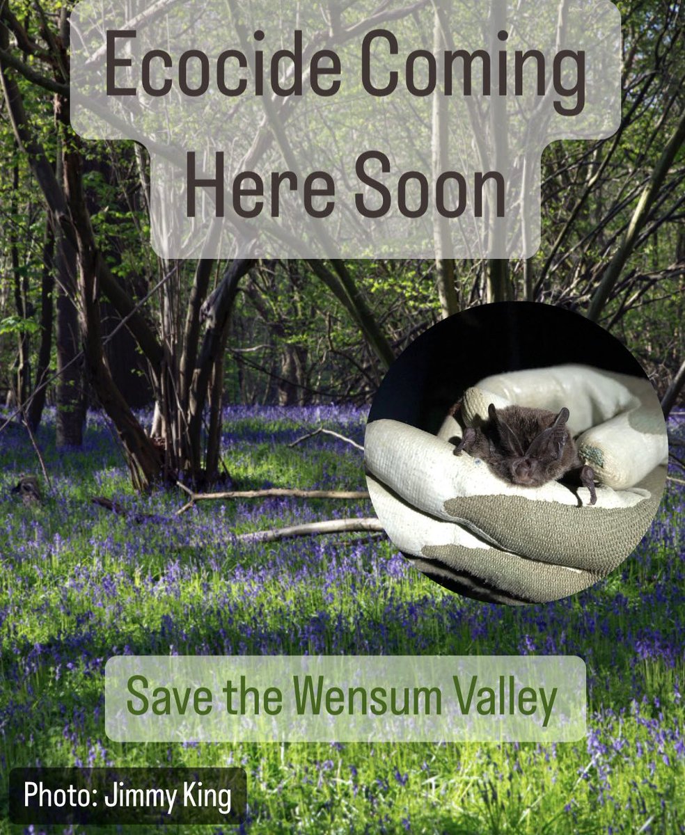 With Norfolk County Council ploughing mindlessly on with the Norwich Western Link, legal work to prevent it looks more and more likely. Help bolster the fighting fund & contribute to the @StopWensumLink crowdfunder if you can stopthewensumlink.co.uk/crowdfunder