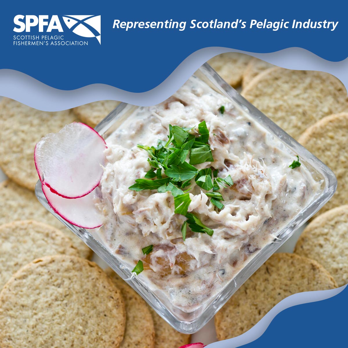 Recipe of the week - sOatcakes topped with Mackerel Pâté #LoveSeafood

bit.ly/3R8NfBg