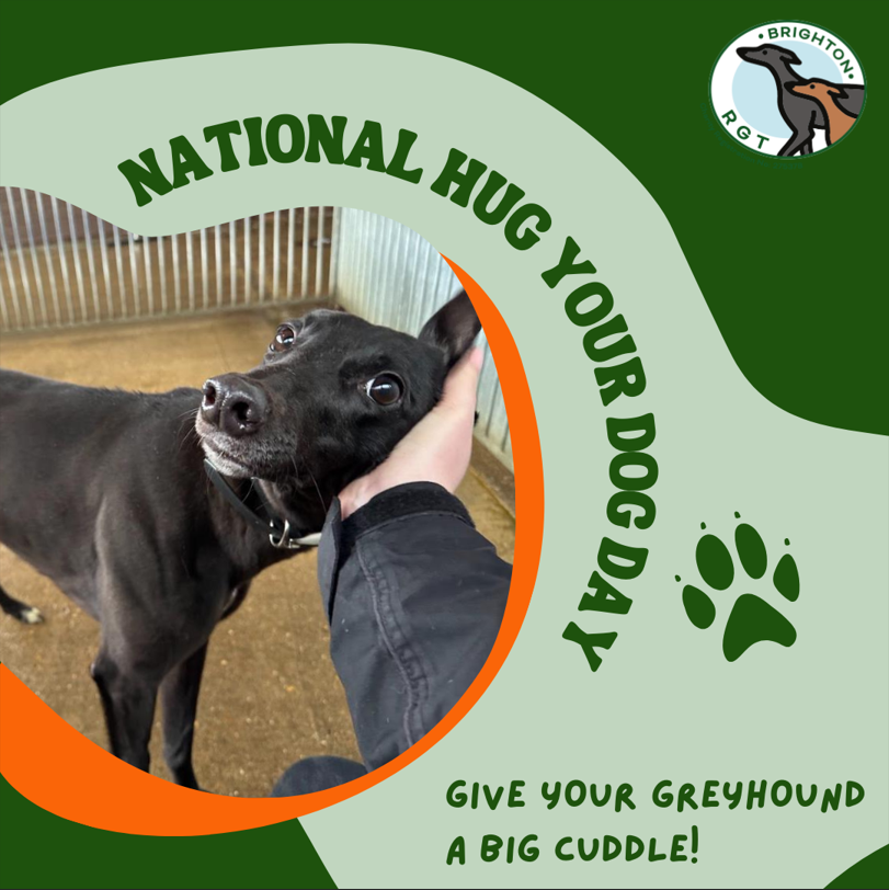 🐾 Happy National Hug Your Dog Day! 🐾

Give your furry friend an extra hug today to celebrate the love they bring into your life. 🥰 Share your cuddly moments and spread the love! ❤️🐾

#NationalHugYourDogDay #AdoptAGreyhound #LoveYourDog