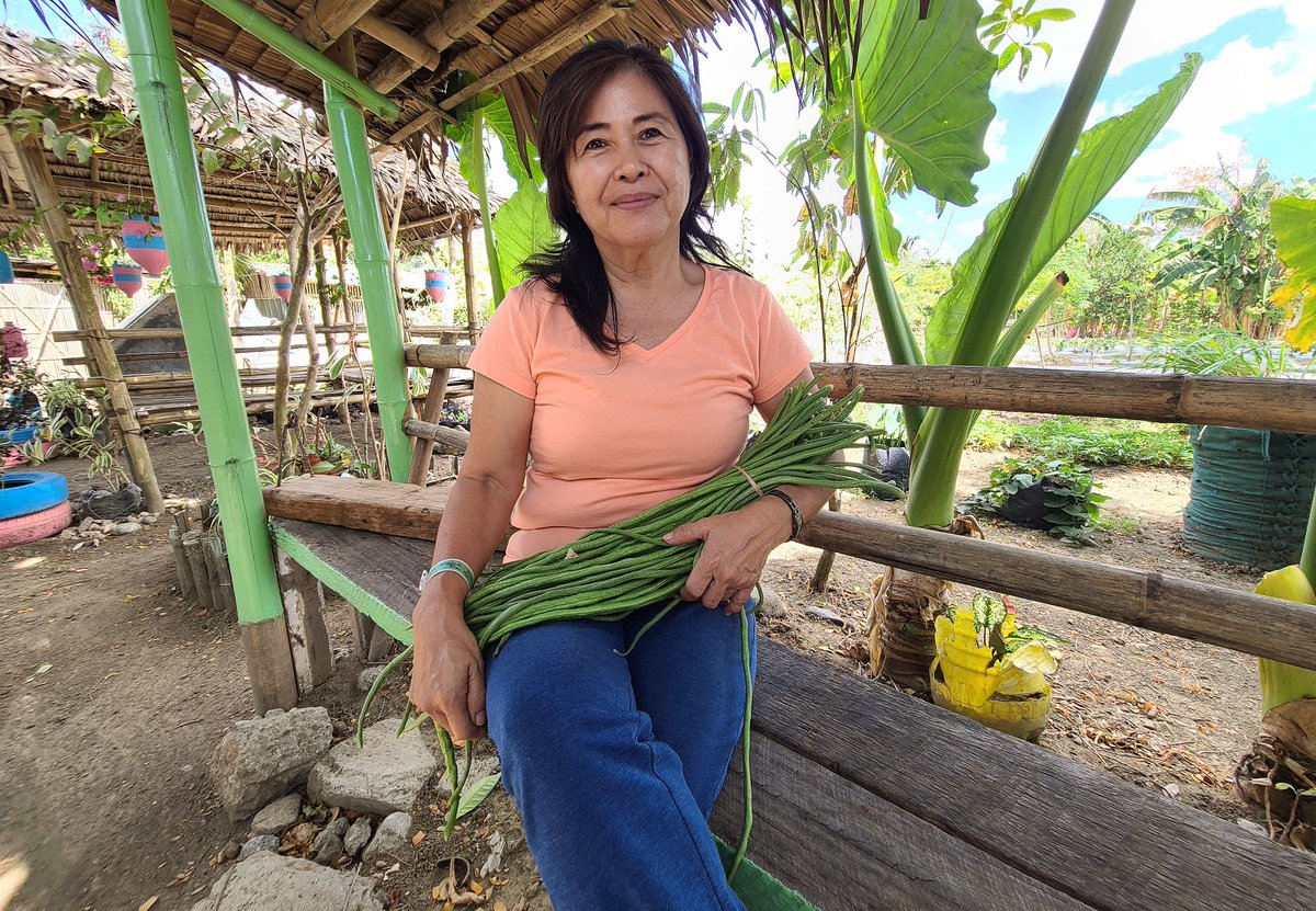 .@USAID helps female farmers adopt climate-smart strategies! Olivia’s agri-business suffered huge losses due to drought but training from a partnership between Iloilo City and USAID and @CatholicRelief 🇵🇭 helped Olivia get her business back on track.