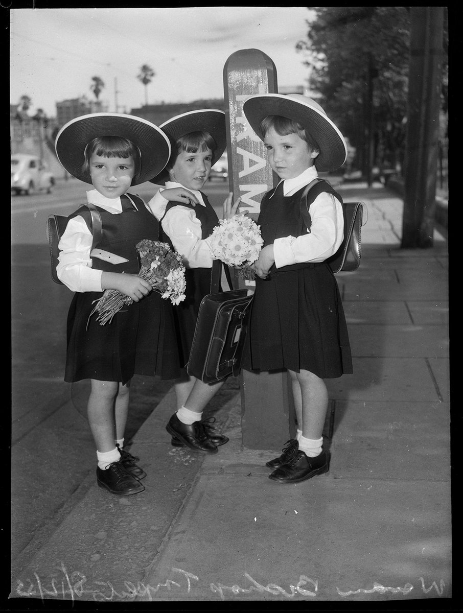 Bishop triplets, Lynette, Annette and Jeanette on their way to their first day of school, Mascot, Sydney, 8 December 1953, photo by David Cumming. #NationalSiblingsDay collection.sl.nsw.gov.au/record/1JkPX85…