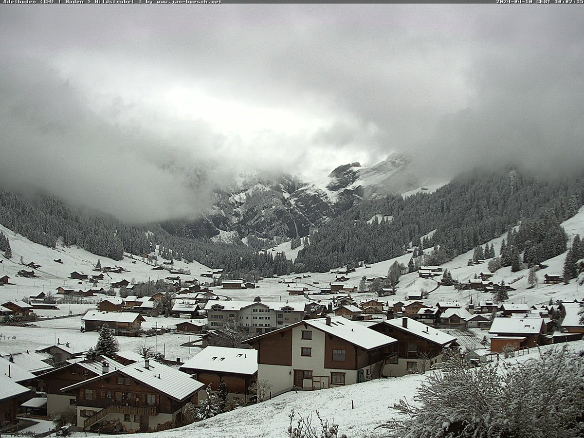 And here we go again 🤗. Snow in Adelboden #BernerOberland #switzerland #swiss #alps #mountains