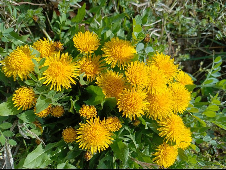 Bayramınız mübarek olsun.