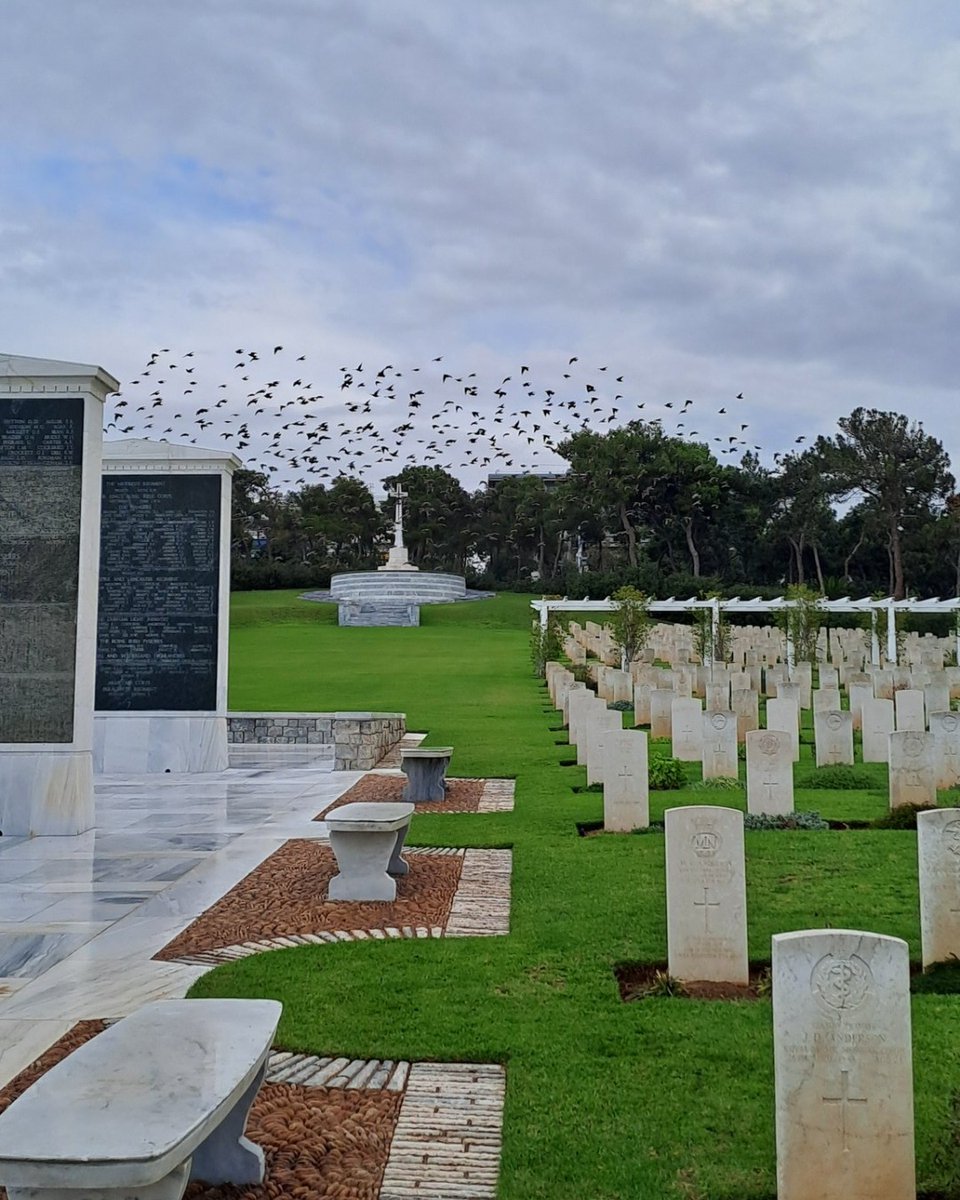 Starlings visiting our Phaleron War Cemetery, 🇬🇷 #WildlifeWednesday RT @phaleron1964