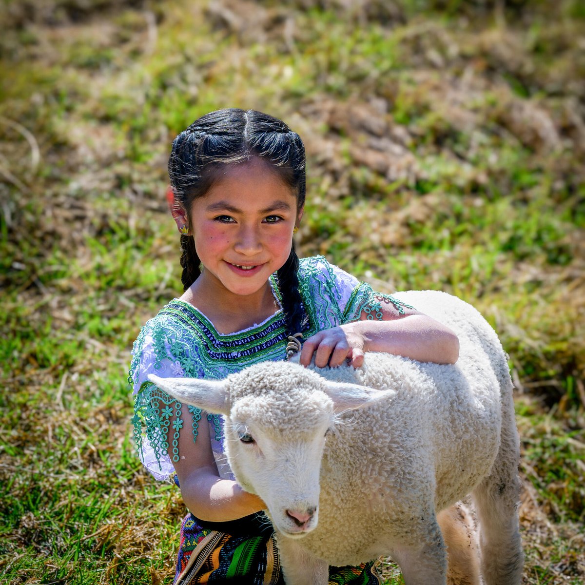 Every act of care nurtures a brighter future. Through sustainable farming initiatives, we're empowering communities to create lasting change. Together, let's sow seeds of hope for a hunger-free world. 🌱🐑 #SustainableFarming #EndChildHunger #ENOUGH